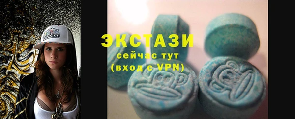 индика Беломорск