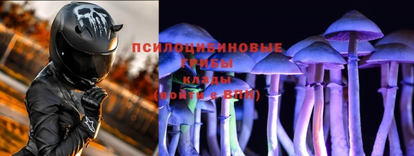 таблы Белокуриха