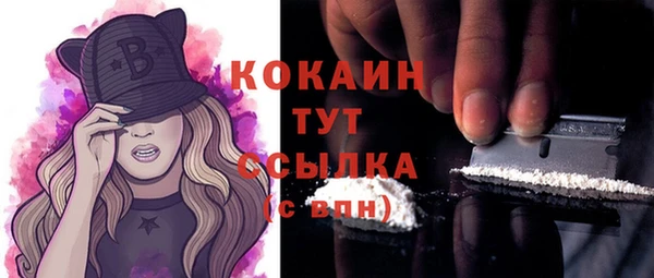 индика Беломорск