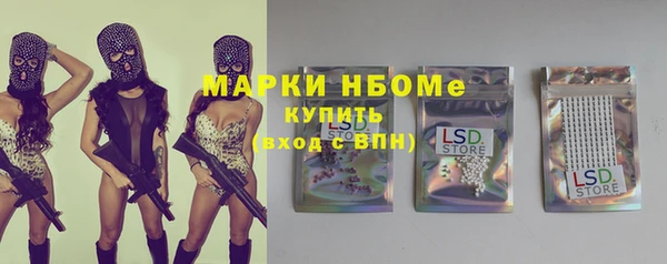 индика Беломорск