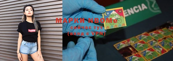 индика Беломорск