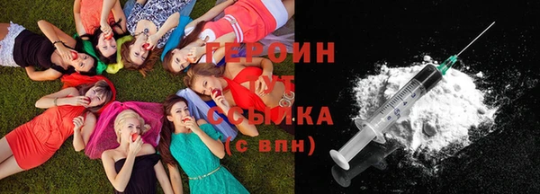 индика Беломорск