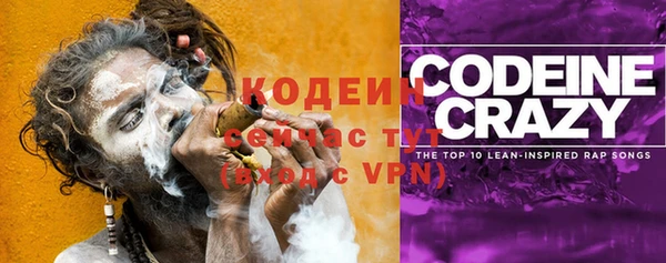 индика Беломорск