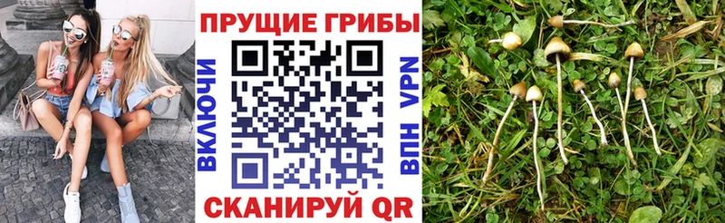 Купить где  Красноуральск  Галлюциногенные грибы мухоморы 